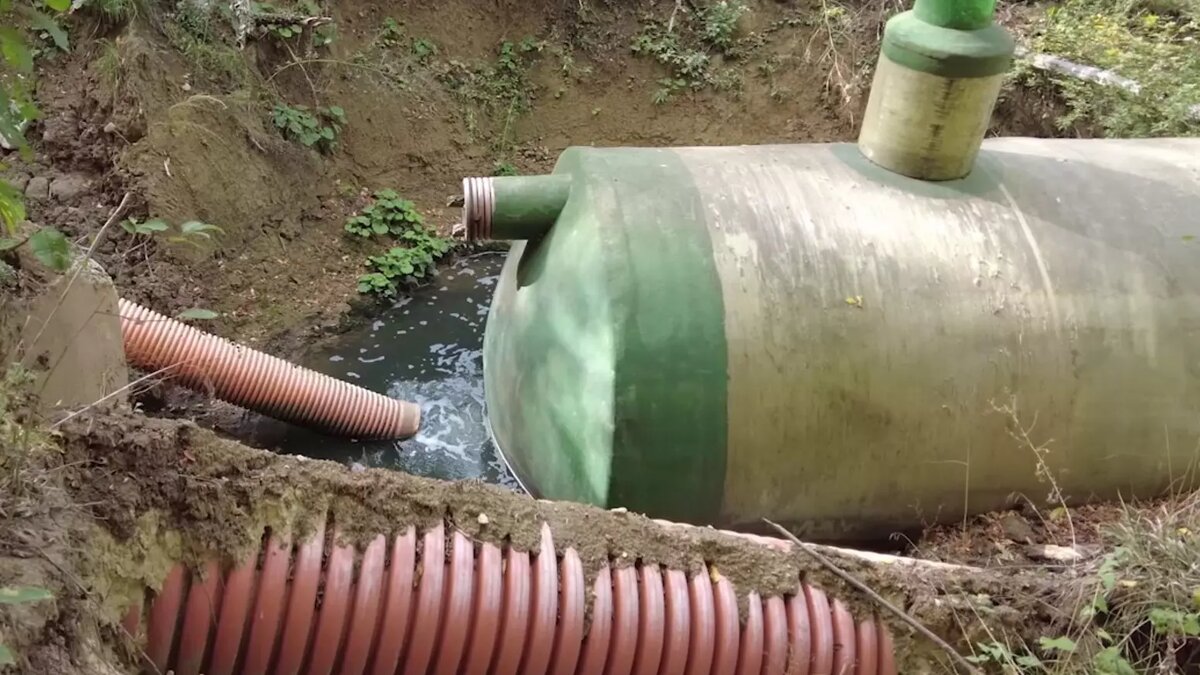     Автор: Народный фронт Ставропольского края