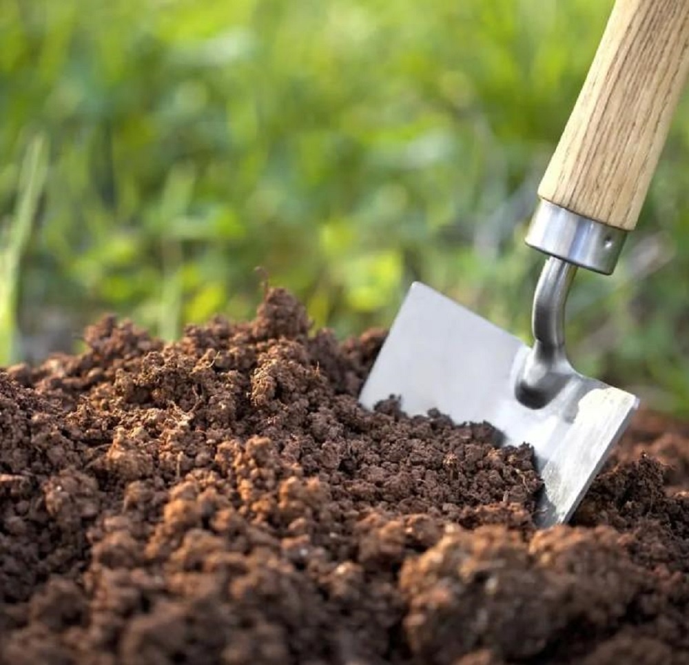 Правильный выбор и доставка грунта играют ключевую роль в успешной реализации многих проектов