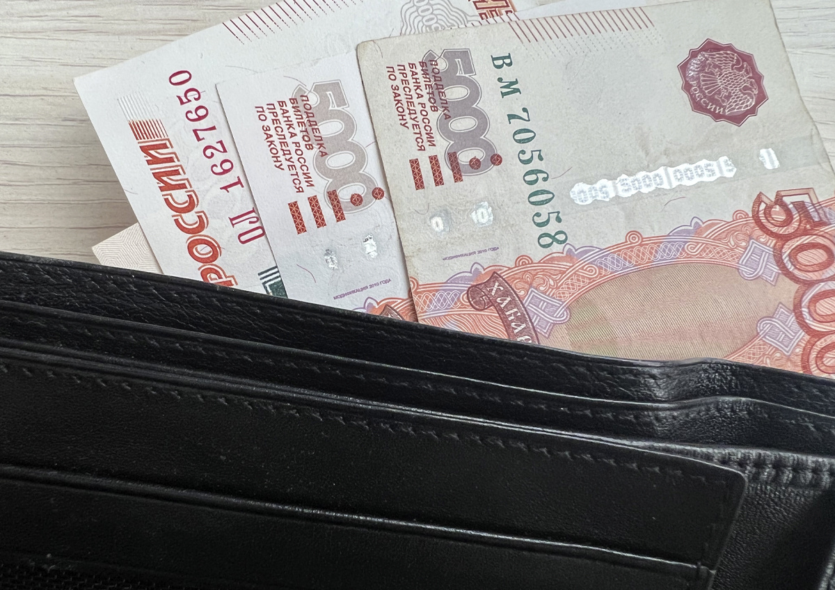    Россиянам обещают рост зарплат, но есть и «тревожный сигнал»