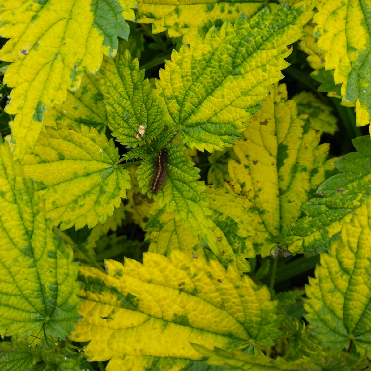 Фото автора канала