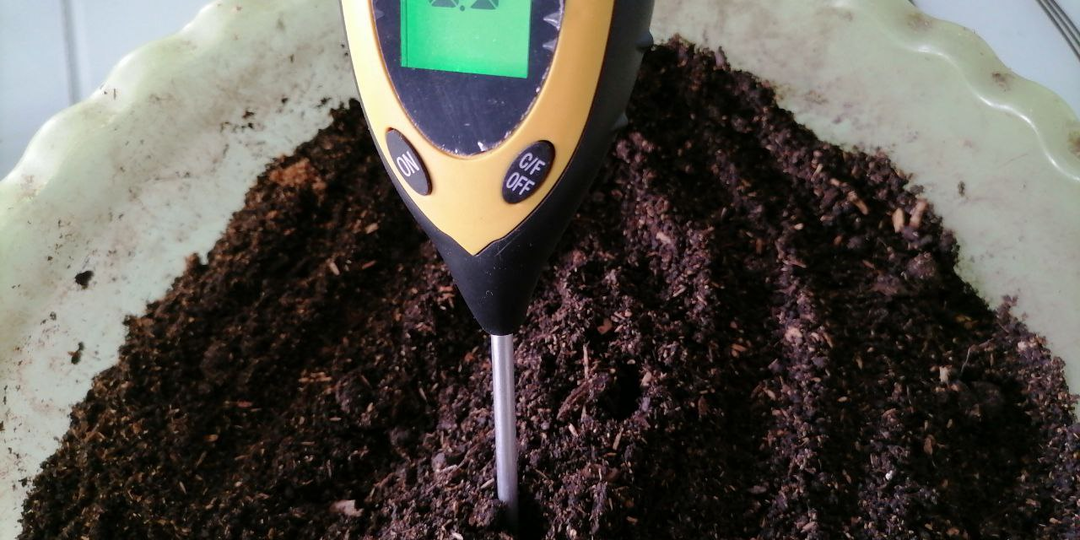 Природный разрыхлитель грунта без денег и заморочек - опилки