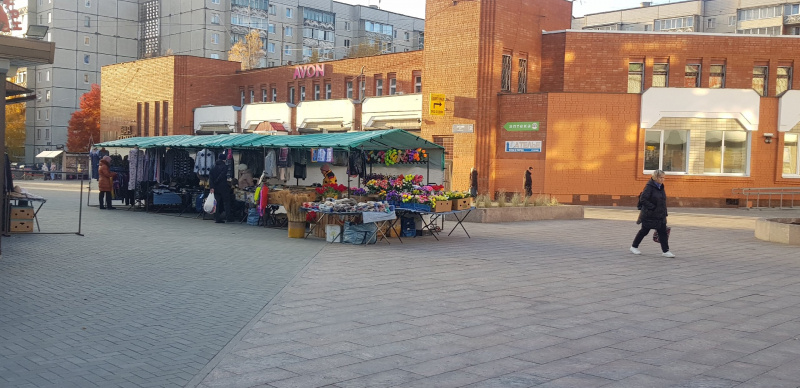    Одинокая елка появилась на площади Петрозаводска, откуда не могут выгнать торговцевИрина Меркова