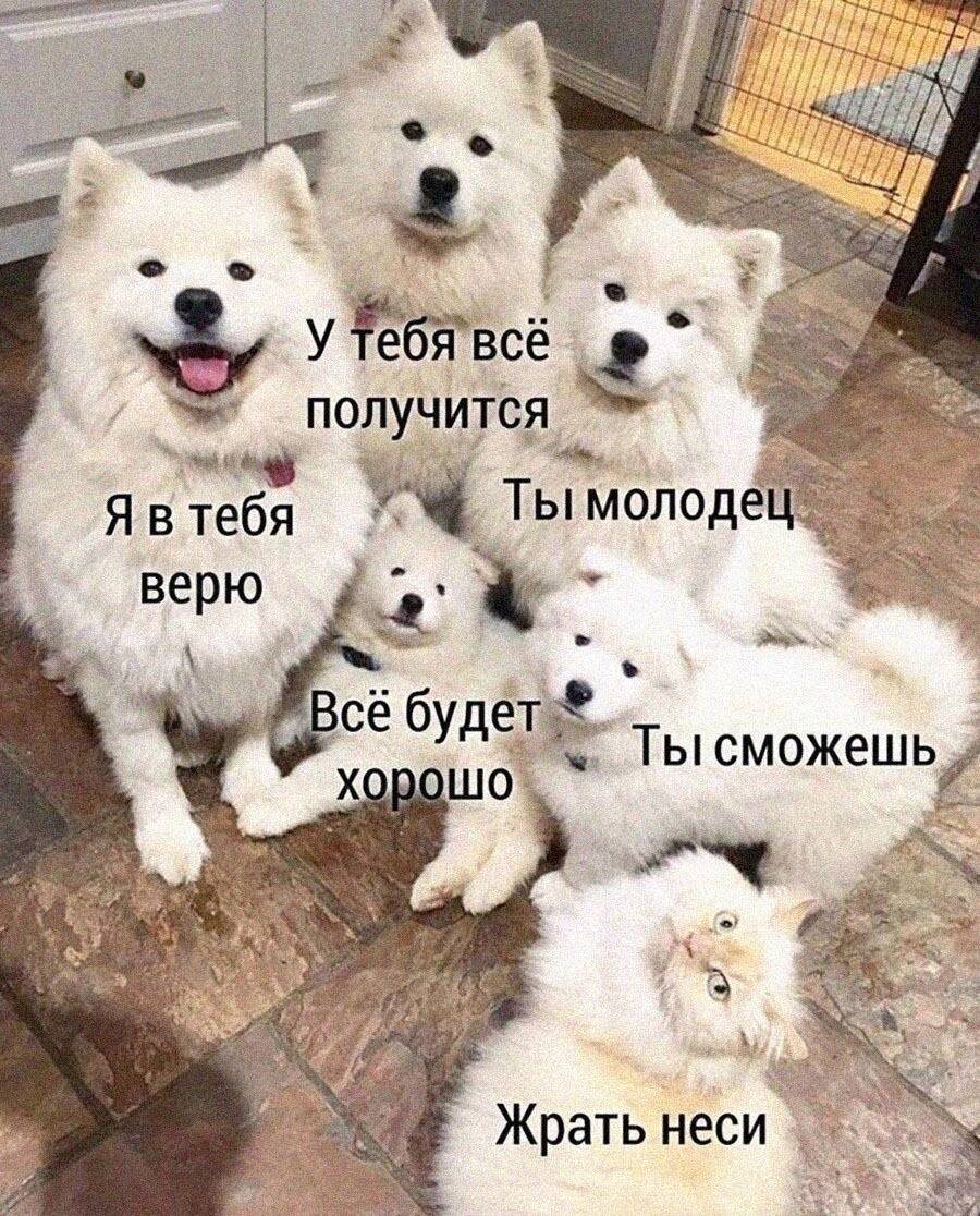 Обычная ситуация в...семье 😁