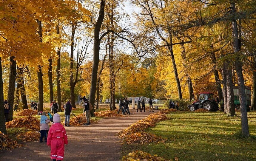    gov.spb.ru
