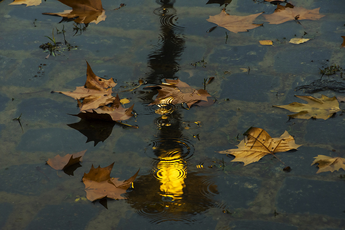 Фото photoclub.by