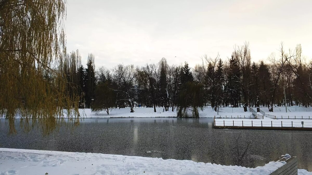     Источник: 1MI