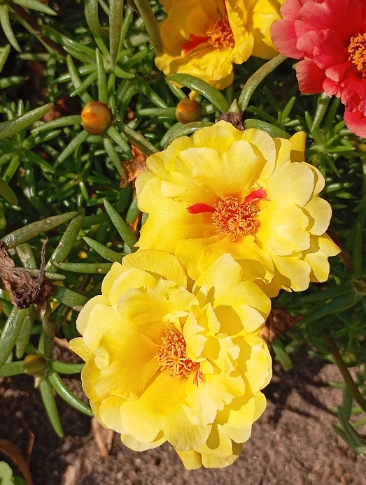 Рига, 29 июня 2024