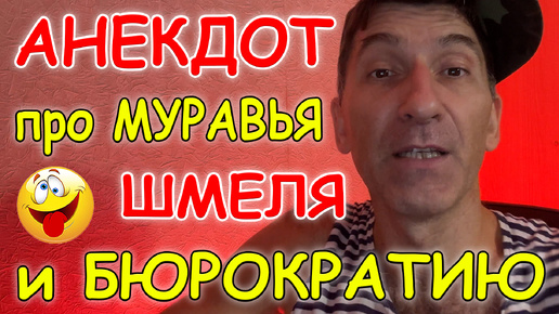 Смешной Анекдот история про трудолюбивого Муравья, Шмеля и Бюрократию