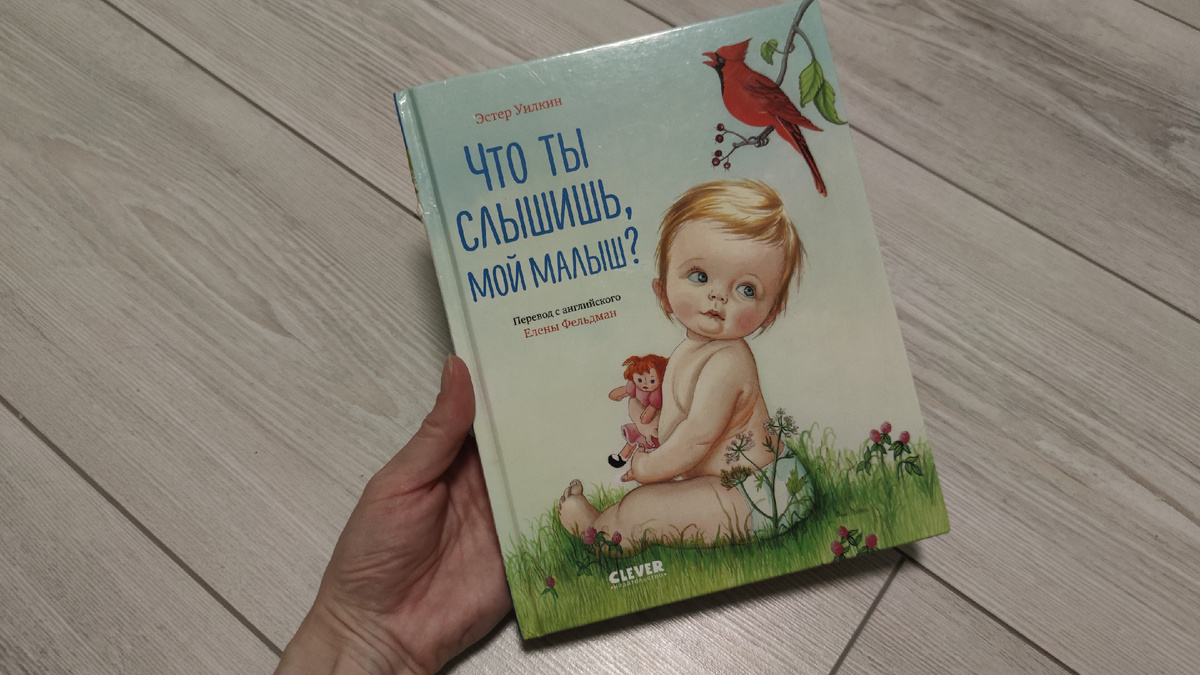 Так выглядит книга, уже слегка покусана