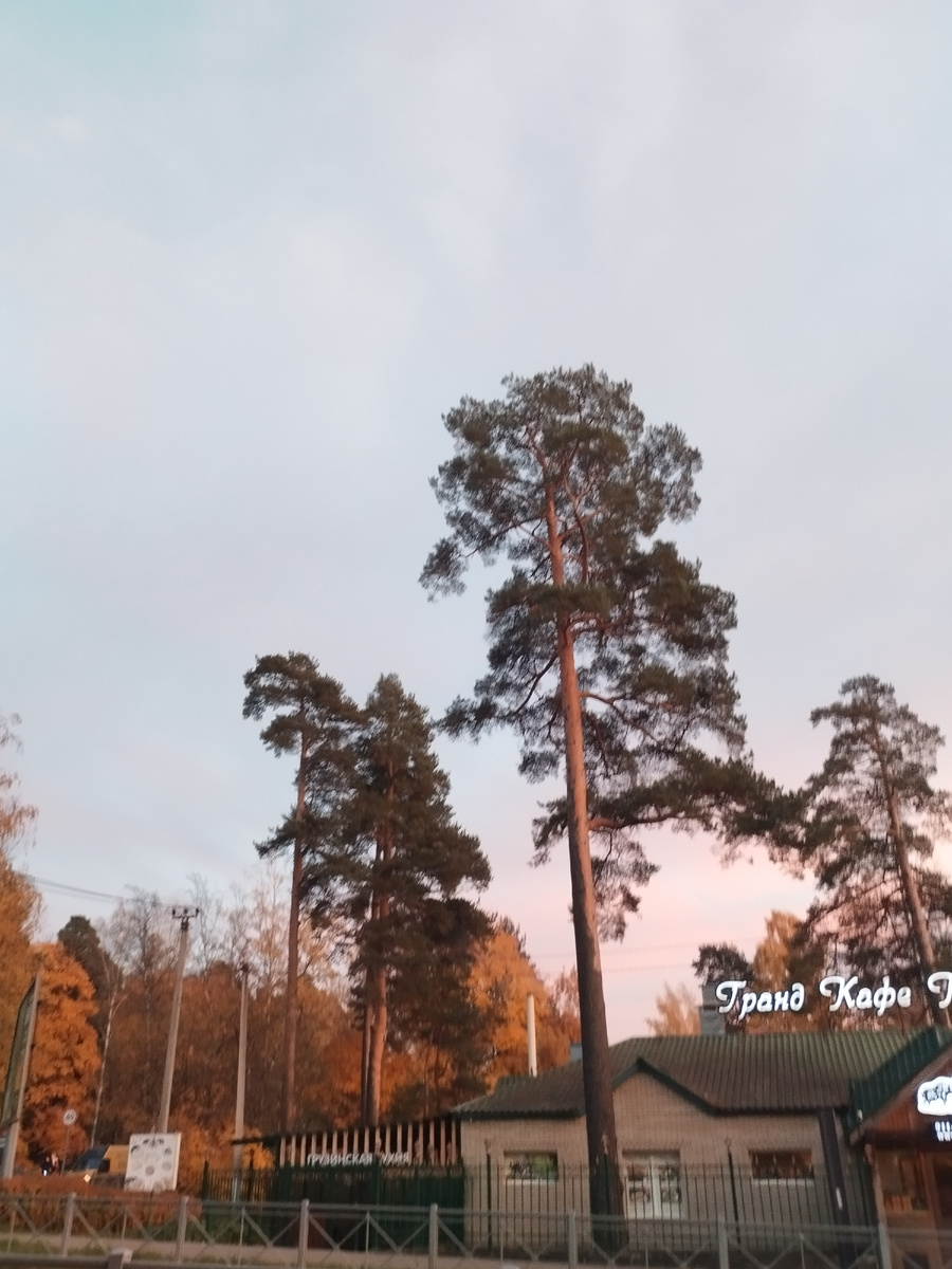 Ленинградская улица.