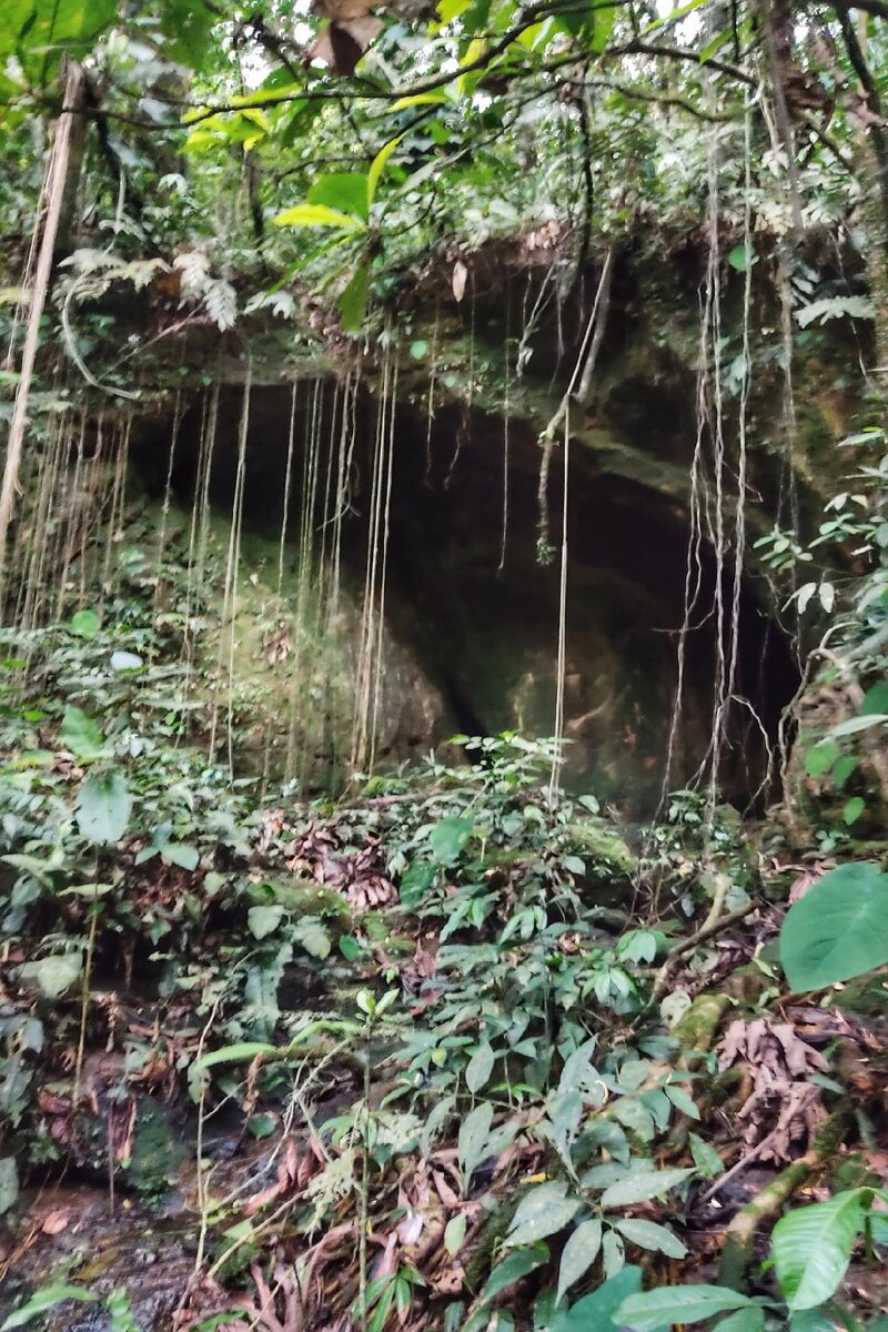 Тот самый Гуачарос, о котором речь пойдет ниже