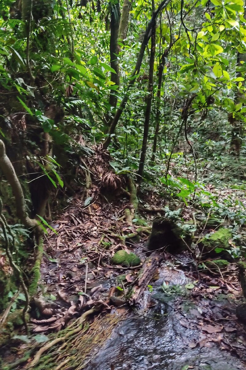 Качество фотографий низкое... Почему? Скоро узнаете!