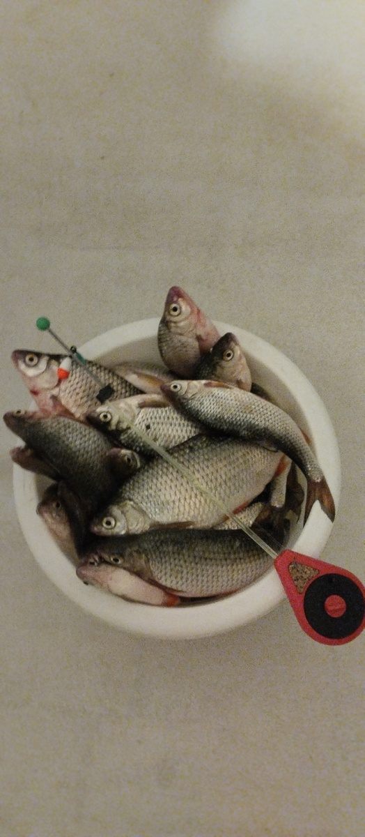 Зимний "ультралайт" с поплавком.