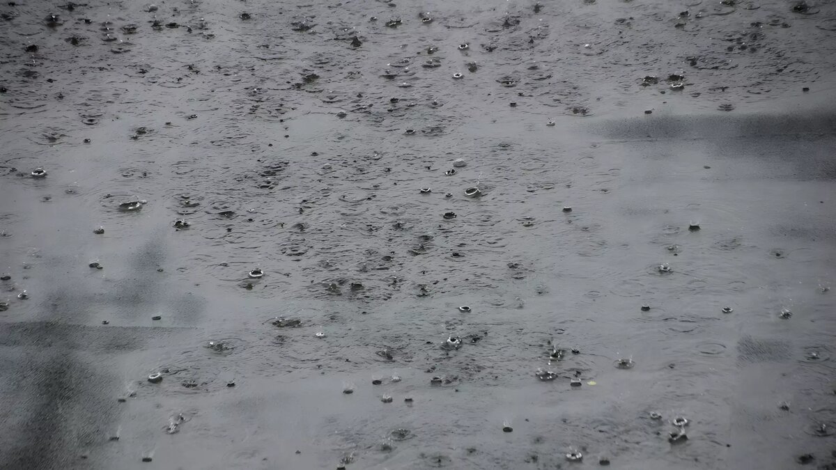     Источник: 1MI