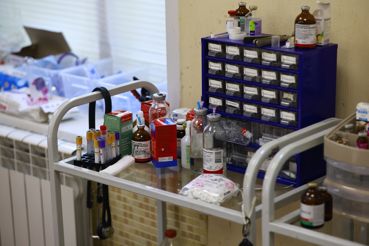 Автор фото: Павел Хацаюк/ИД «Вечерняя Казань»