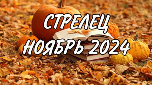 СТРЕЛЕЦ ♐️ ДОВЕДИТЕ НАЧАТОЕ ДО КОНЦА 👌 Таро прогноз на ноябрь 2024