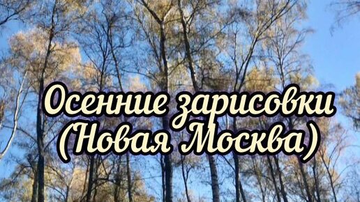 Осенние зарисовки из природного парка Новой Москвы.