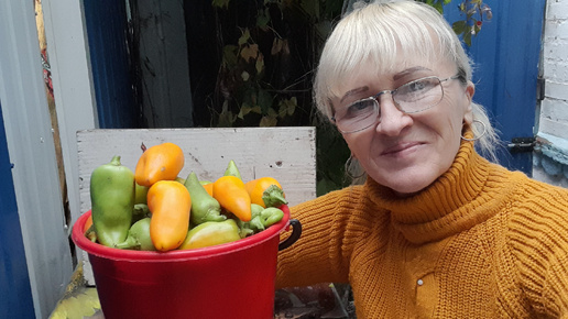 Моя жизнь в деревне! Собираю урожай в огороде. Ремонт в старом доме. На ужин плов!