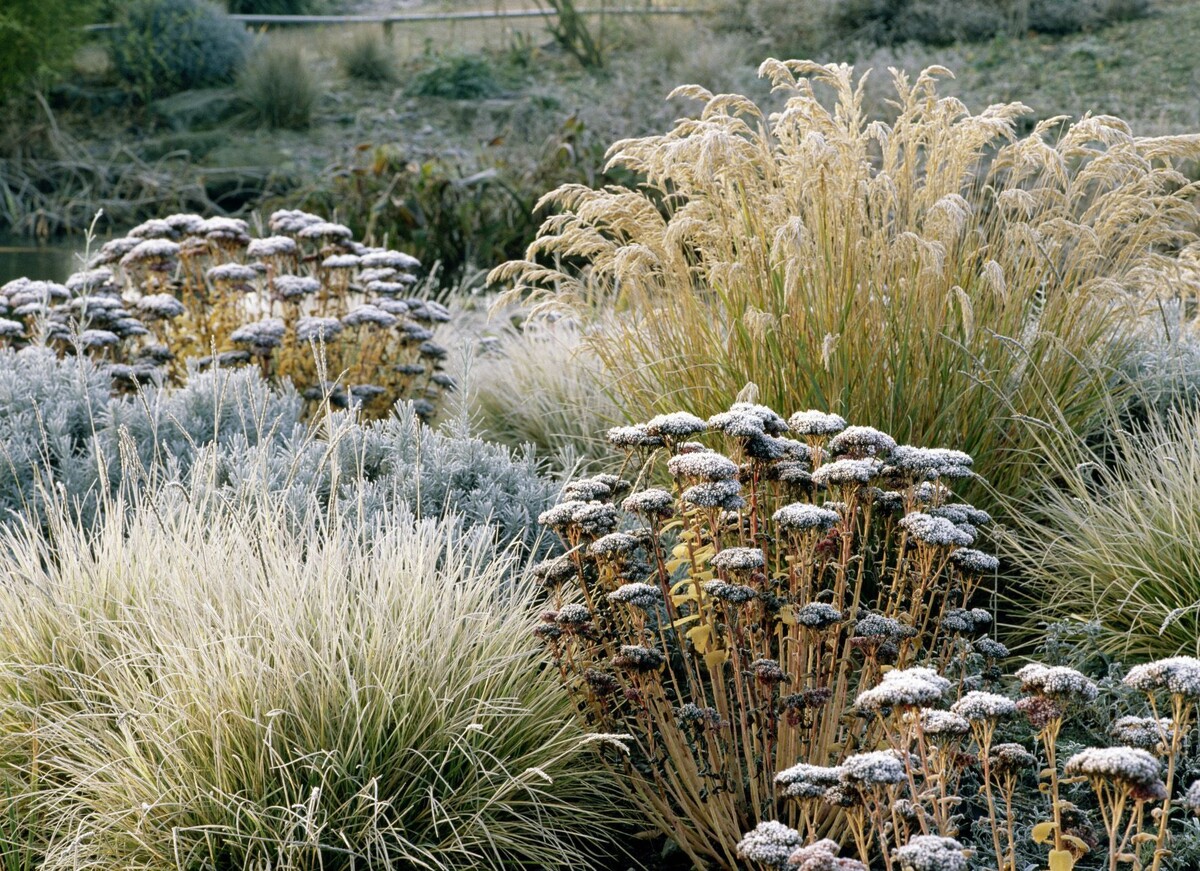 Источник фото: happyhouse.guru