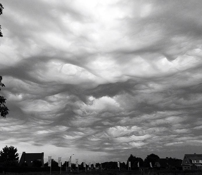 Фото: Bart Van Eeghem / Wikimedia