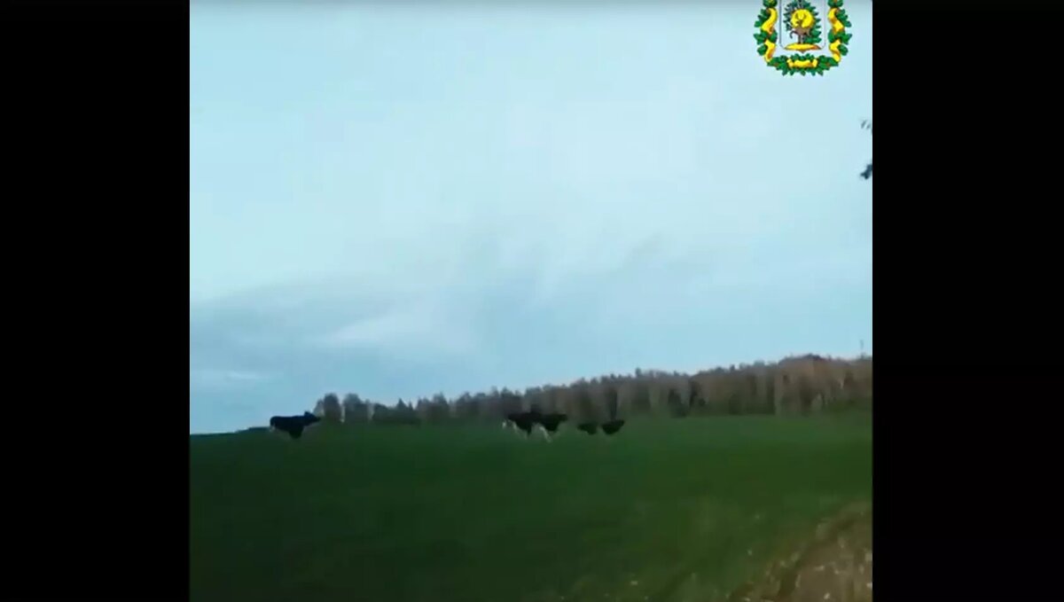     Источник: Пресс-служба минлесхоза Нижегородской области