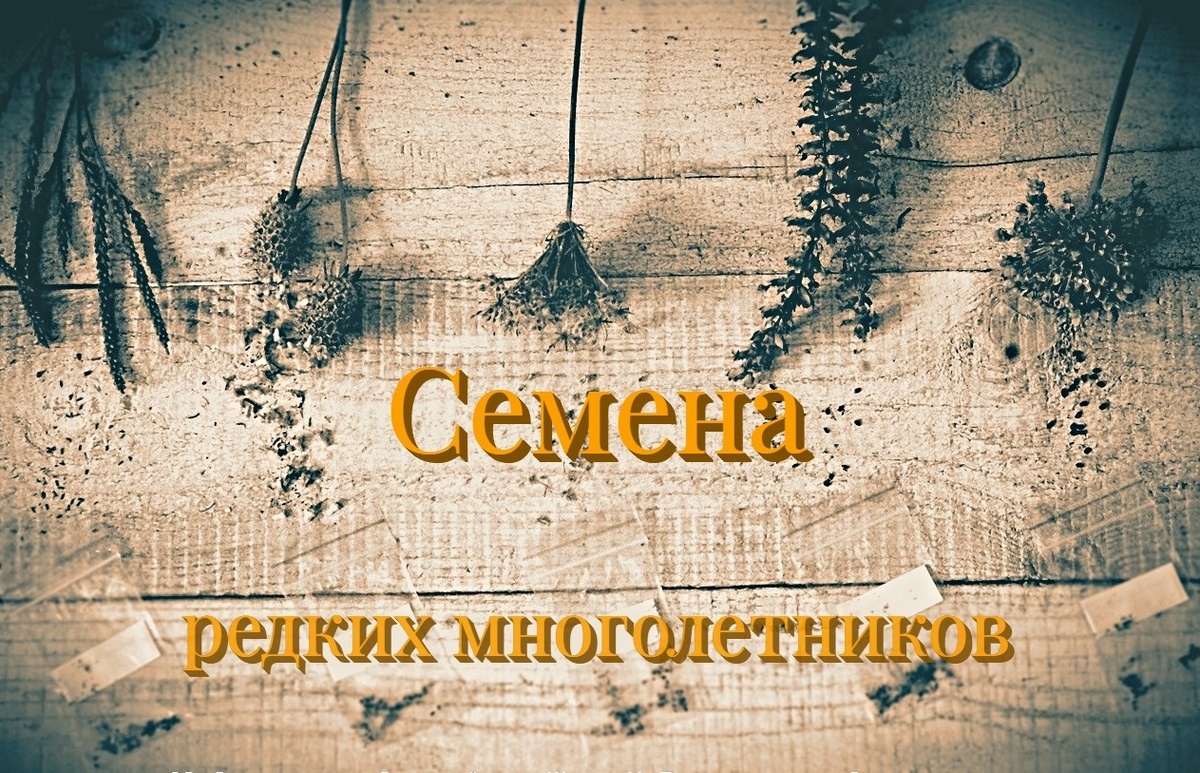 заставку готовила с любовью!