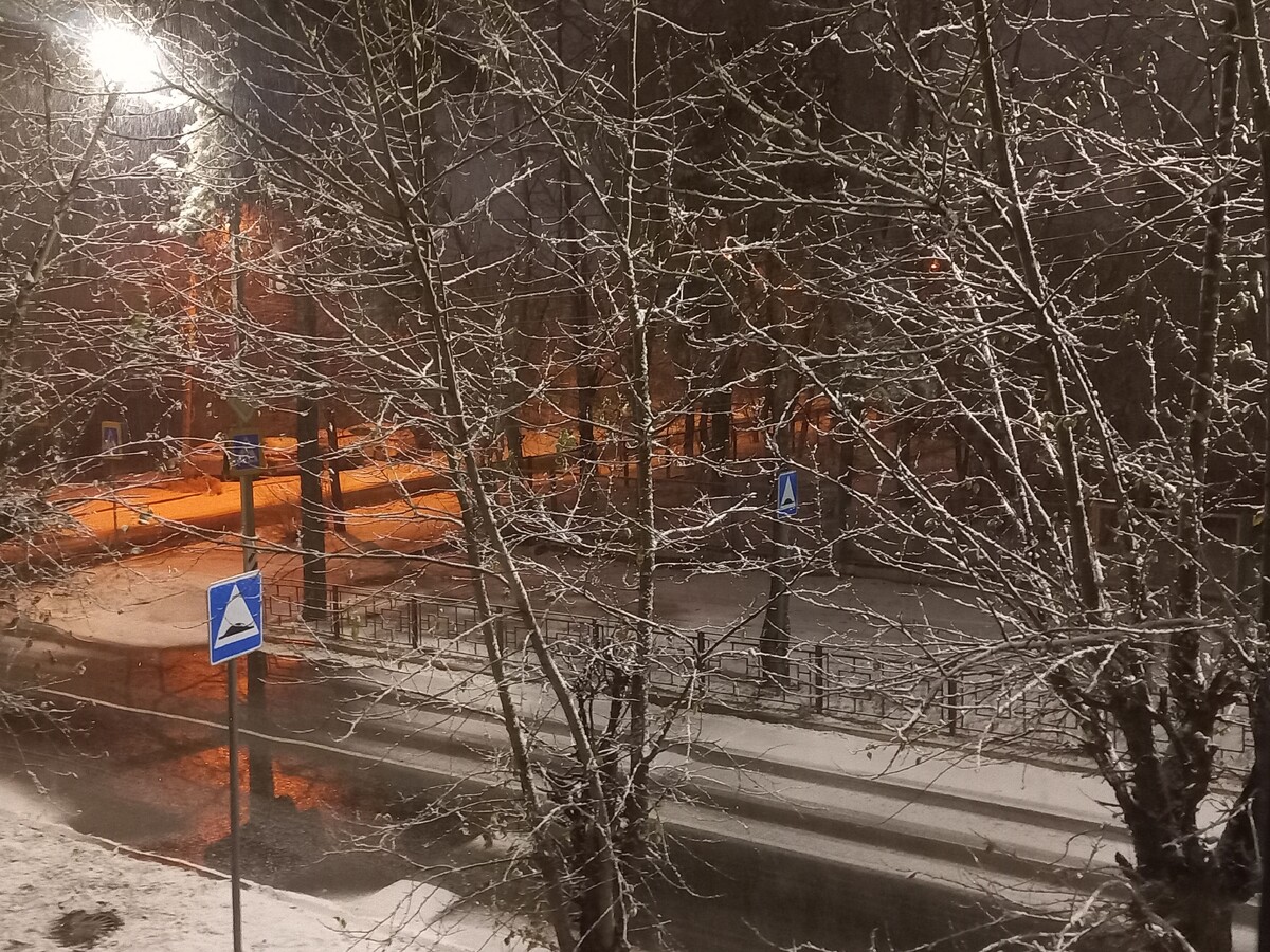    Фото: Очевидец   📷   Фото: Очевидец   📷   Фото: Очевидец   📷   Фото: Очевидец   📷   Фото: Очевидец