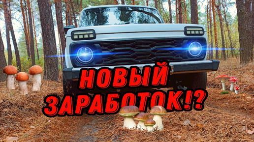 Коп НЕВЫГОДЕН.! Цены на металл ПАДАЮТ.! #hunting #коп #металлокоп #клад #заработок #metaldetecting