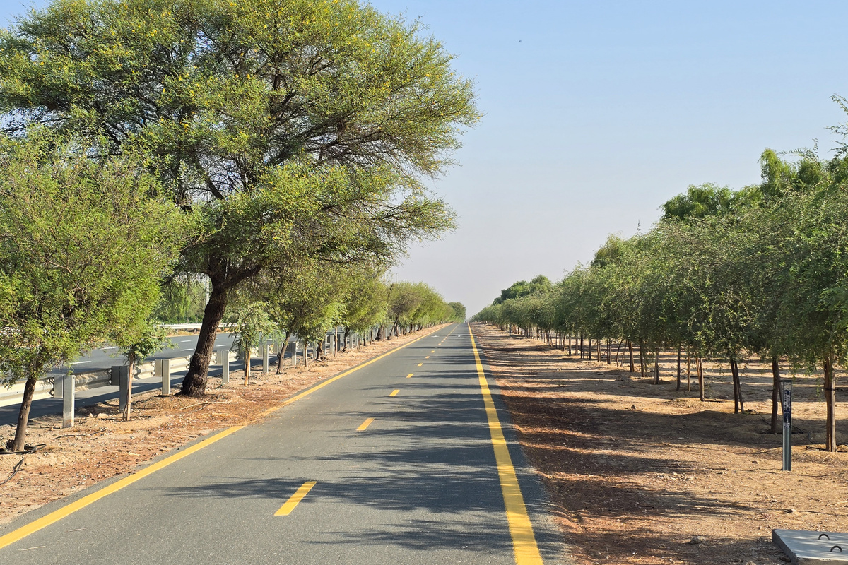 Велосипедная трасса Аль Кудра, Дубай.