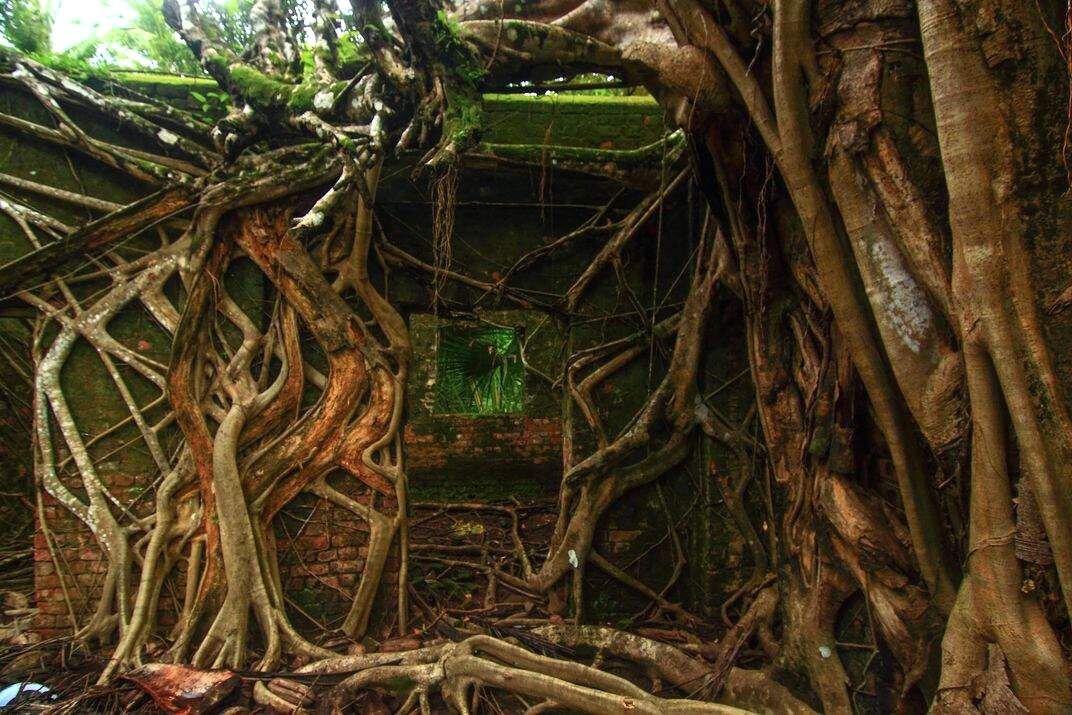 Заброшенный остров Росс, Индия. Источник: Яндекс картинки