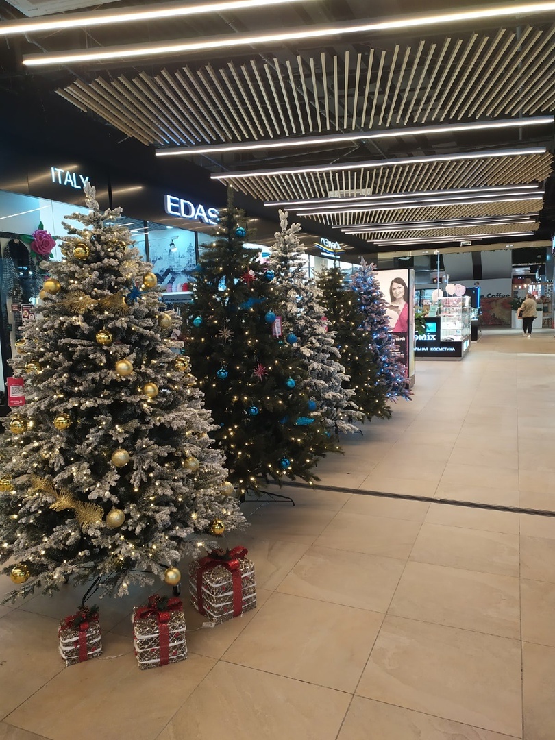 в МТЦ Новый и на улице Красных Мадьяр