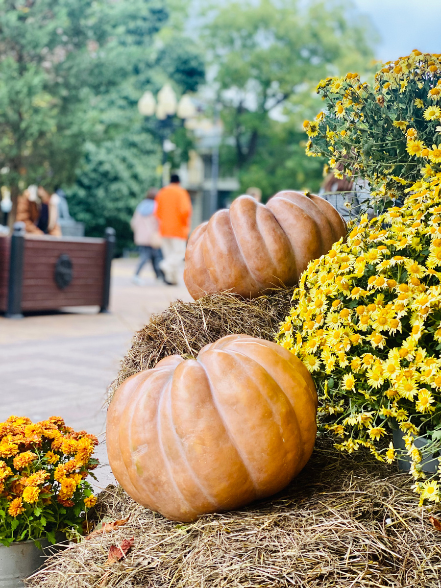 📸📍Симферополь; Крым