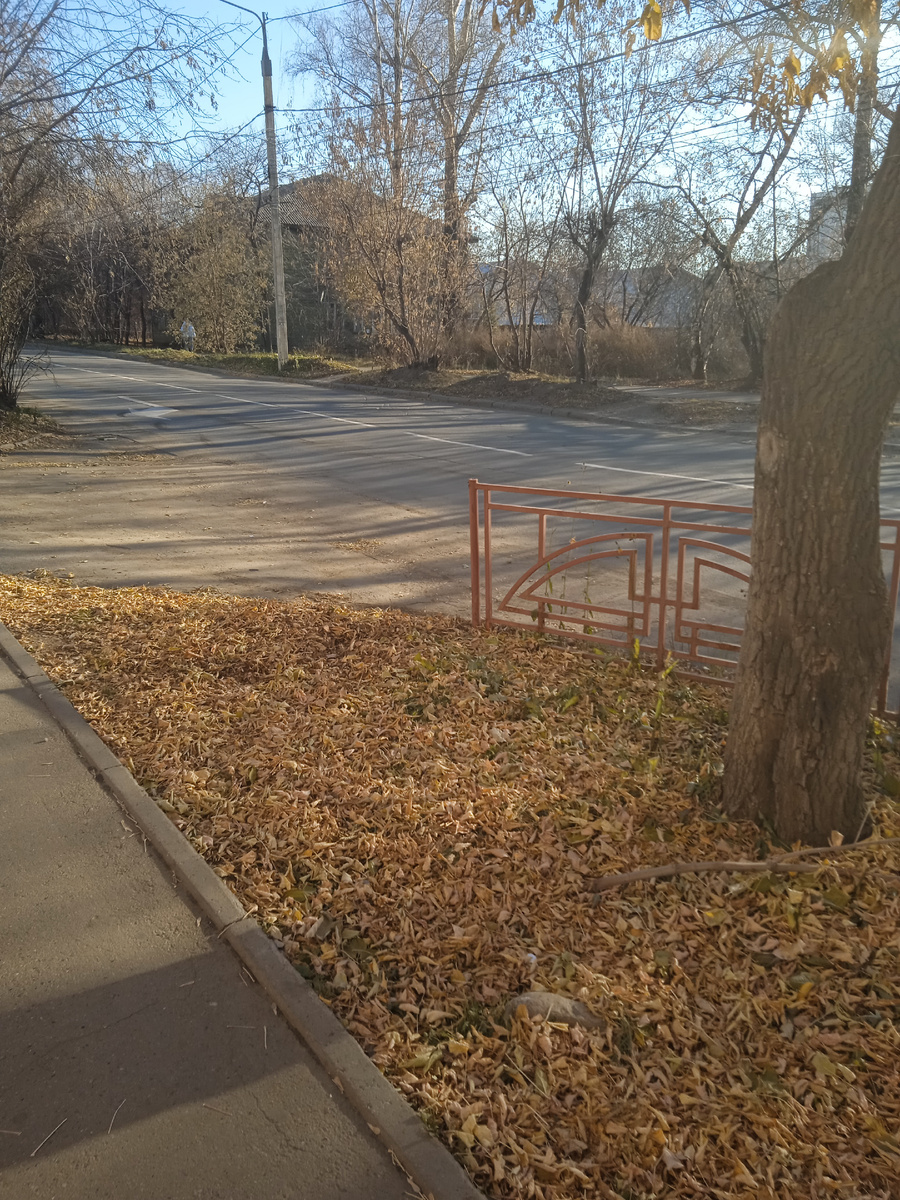 Вот это улица Мухиной со старыми деревянными домами.