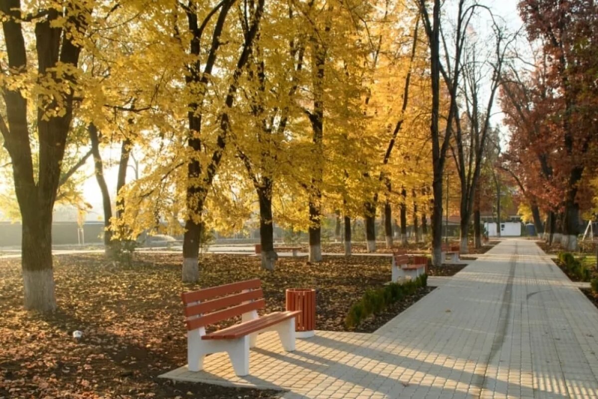    В Краснодарском крае со вторника 22 октября ожидается потепление