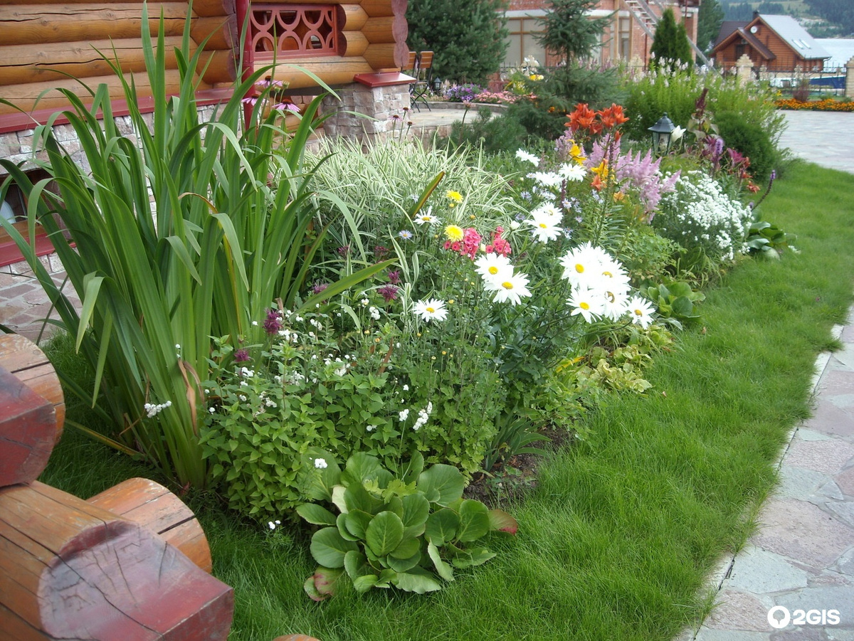 Картинка из интернета