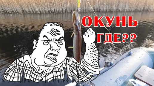 А где же окунь?