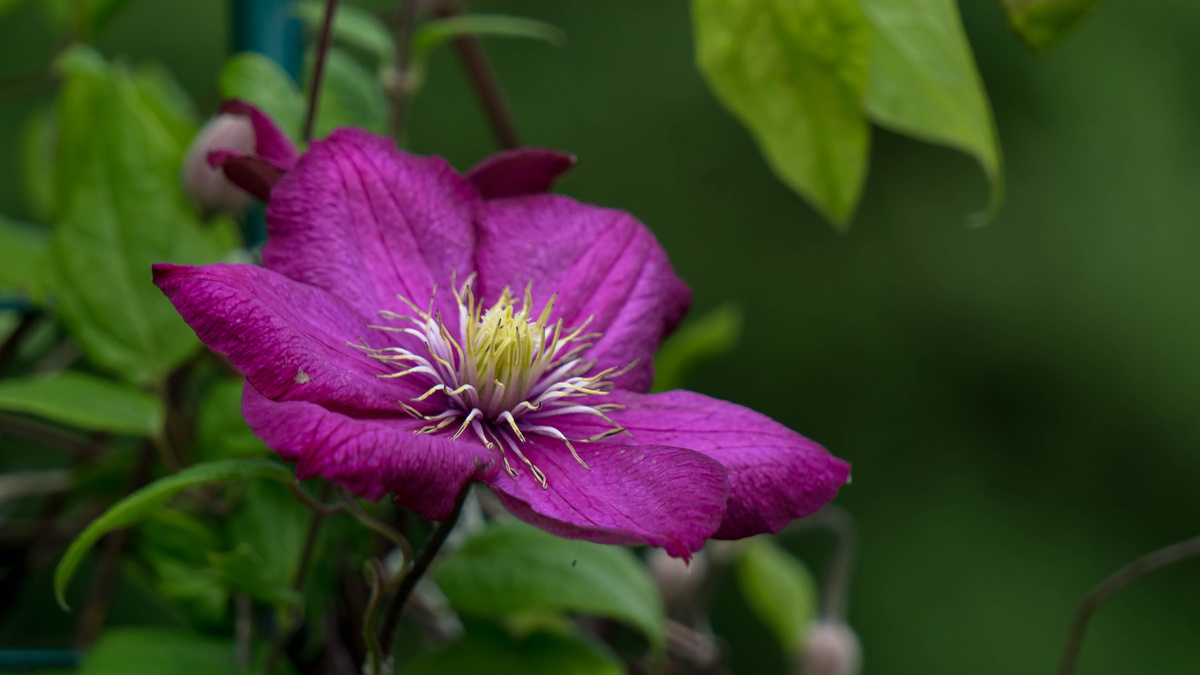 Личное фото автора