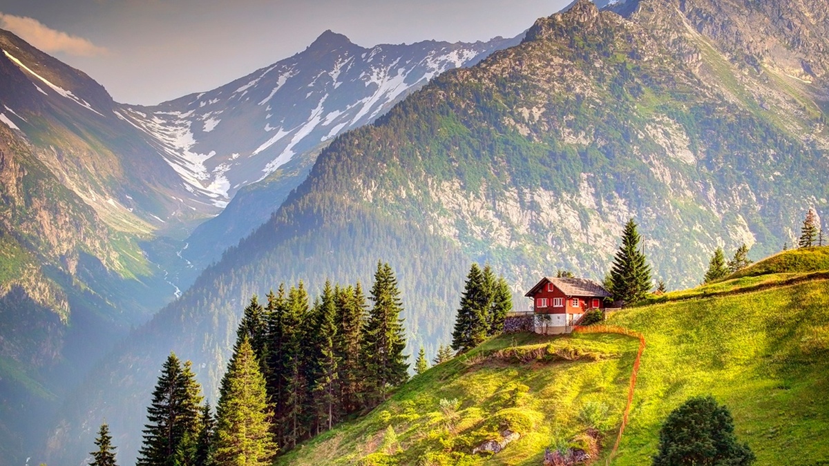 Яндекс картинки, обои, взято отсюда ВКонтакте