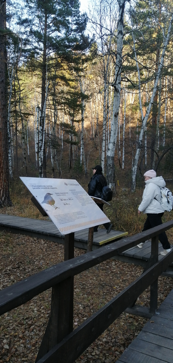 Тропа к водопадам стартует от поселка, от того места, где находится территория санатория Аршан. Сначала следуют по восточному рынку до священной рощи, от нее идет тропа, которая тянется до водопадов. 