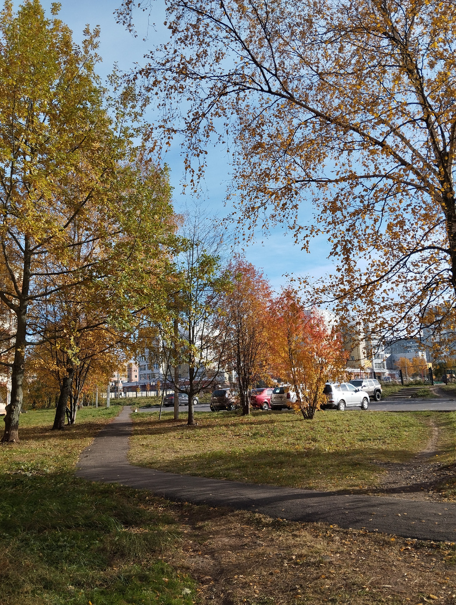 Идём к машине