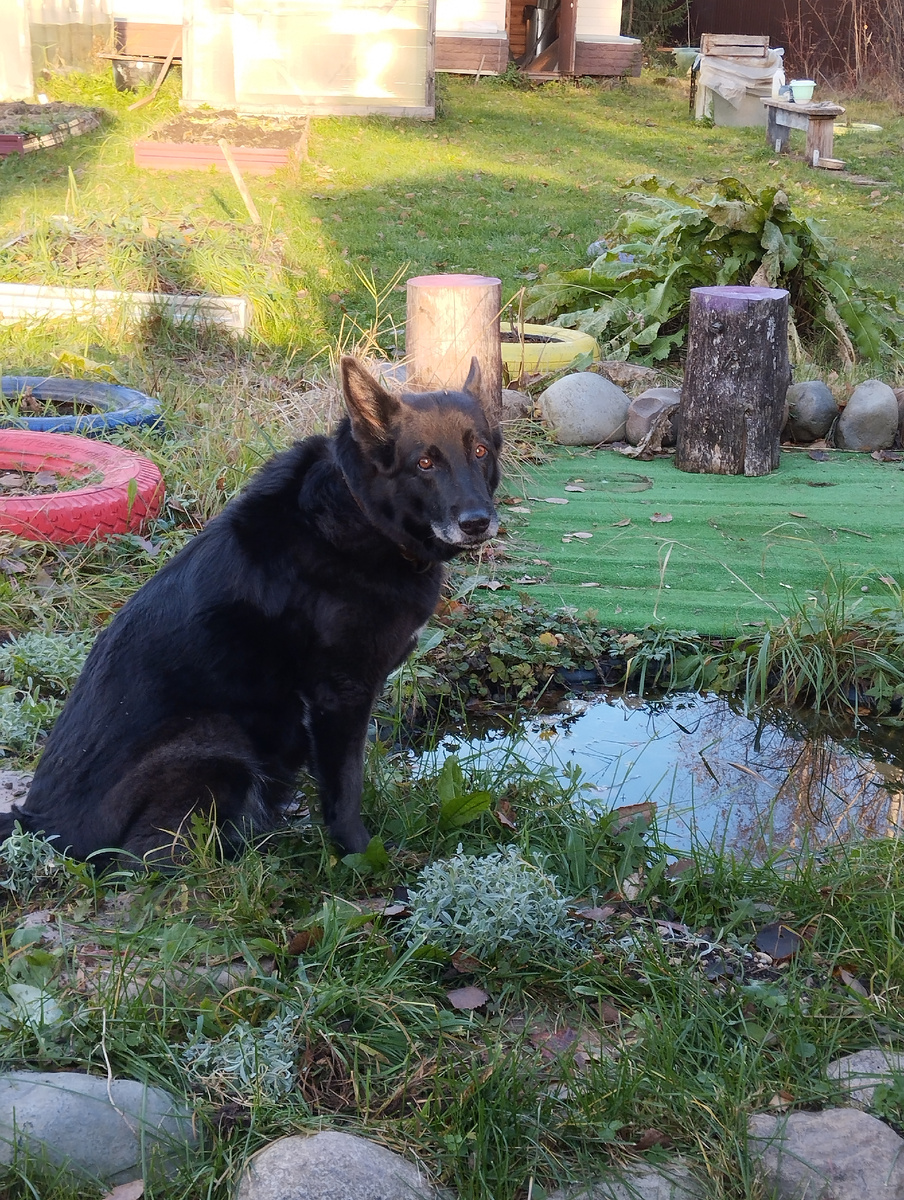 Дона балдеет у пруда