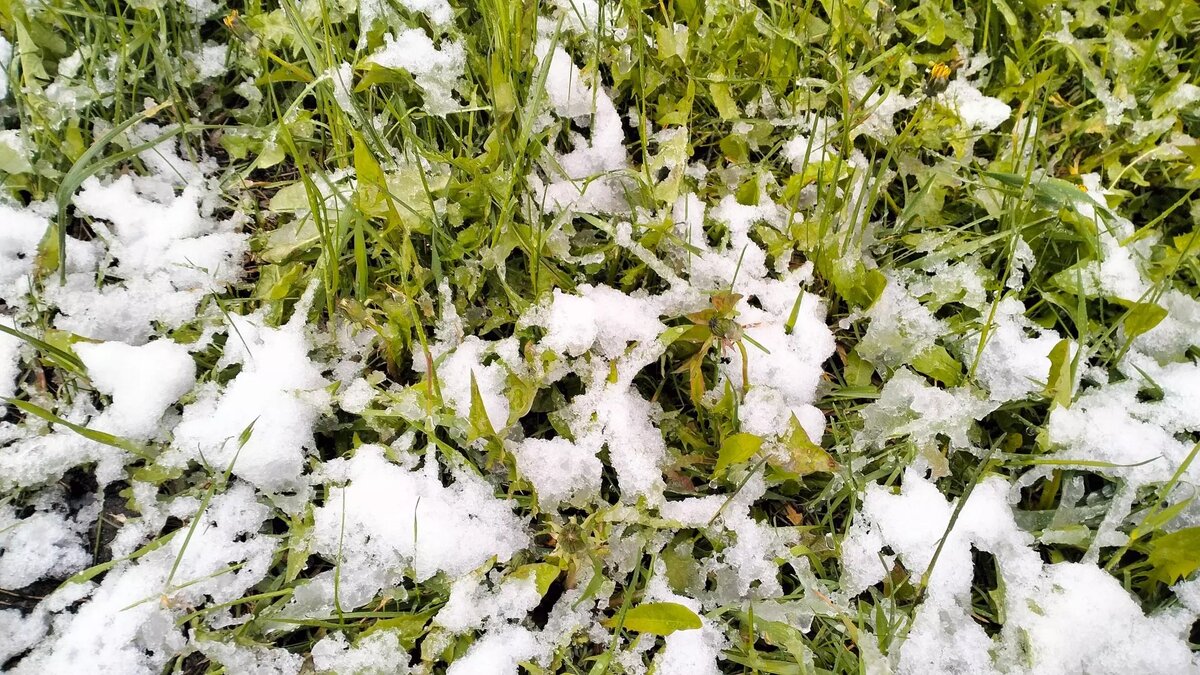     Источник: 1MI