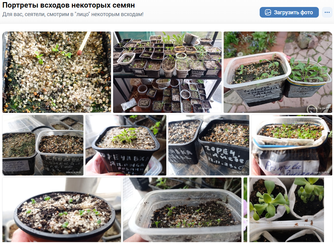 иллюстрация для урока