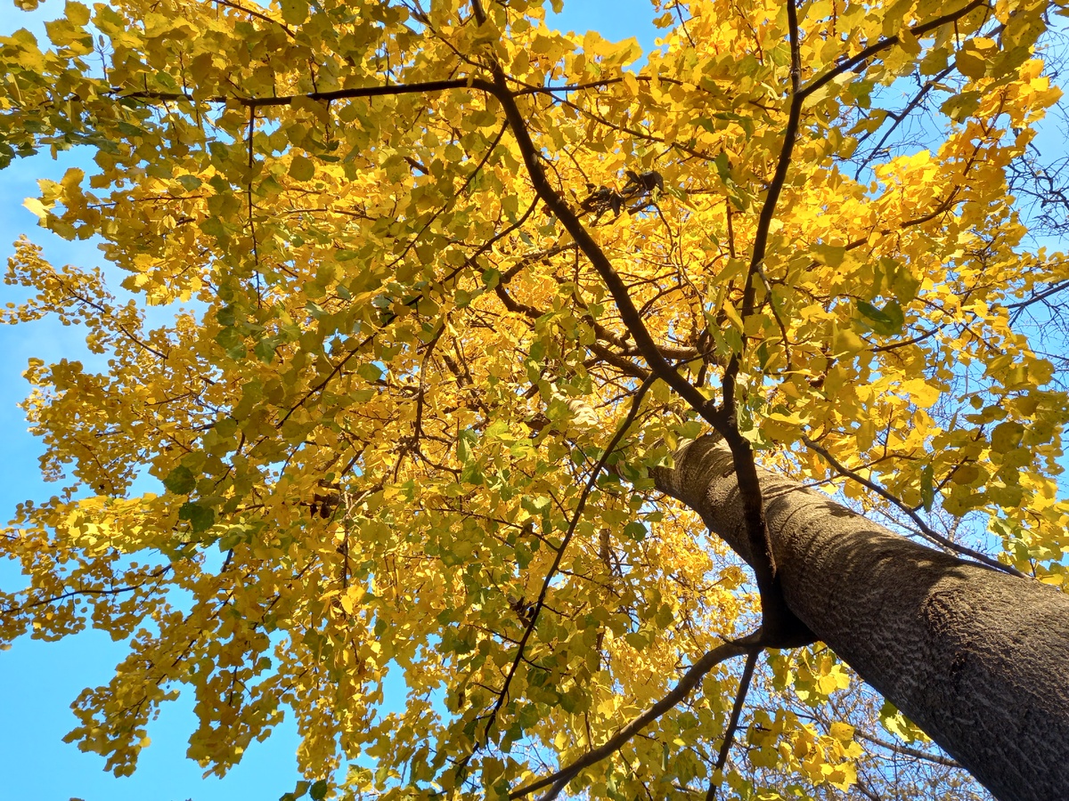 на фото 27 октября