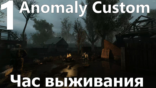 Час выживания одиночки в Anomaly Custom №1