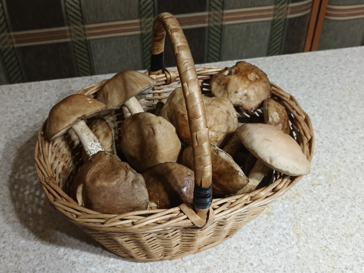 Фото автора.