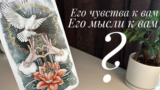 下载视频: Его чувства к вам? Его мысли к вам?