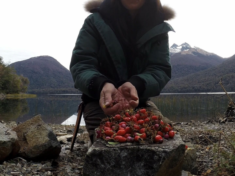 Источник: popularmechanics.com