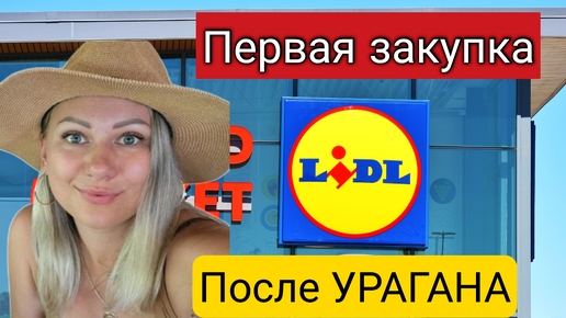 ВСЁ ЗАКОНЧИЛОСЬ‼️/Первая закупка продуктов после урагана/Lidl/Полная тележка/Южная Каролина/США/Влог