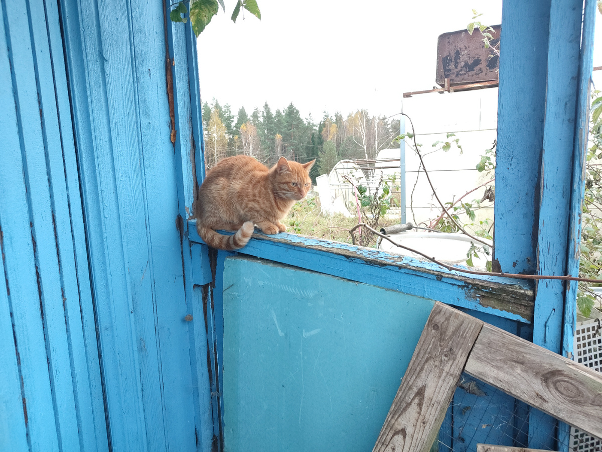 Юлий. Фотография сделана мной лично. Использование запрещено. 